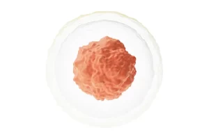 细胞结构