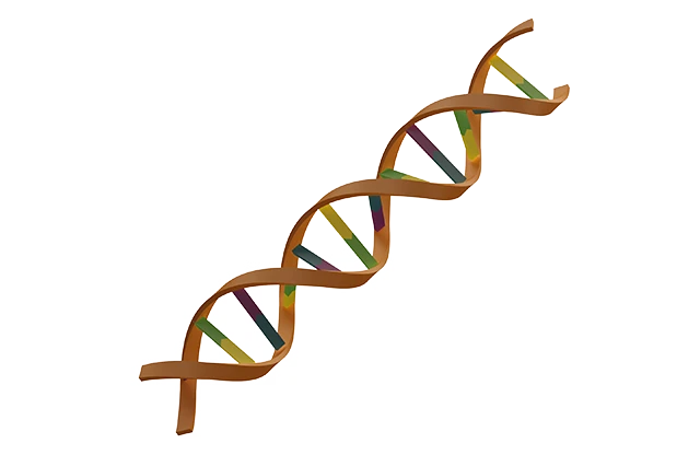 DNA